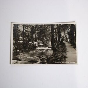 Vintage Wildbad im Schwarzwald Black & White Postcard Enzpartie